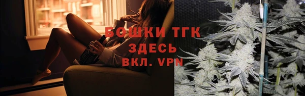 индика Балахна