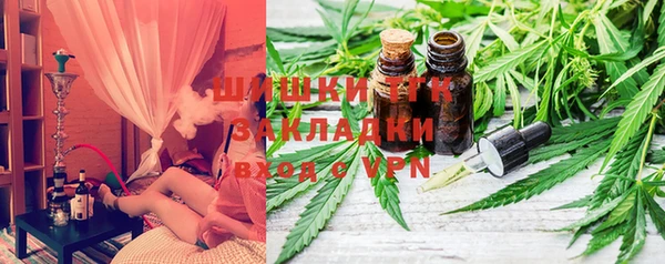 индика Балахна