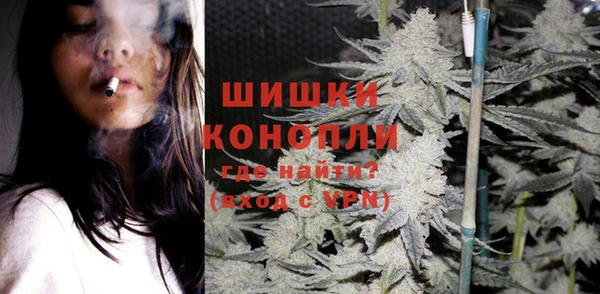 индика Балахна