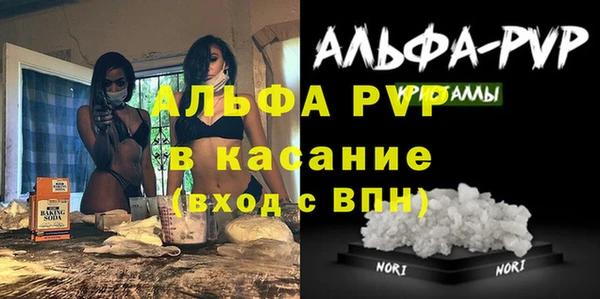 прущие грибы Баксан