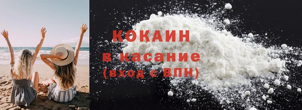 прущие грибы Баксан