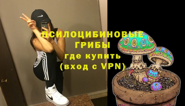 индика Балахна