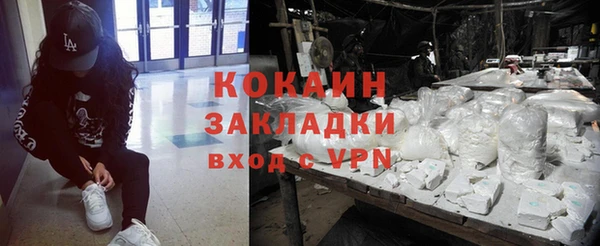 индика Балахна