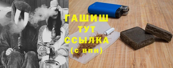 индика Балахна