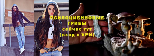 прущие грибы Баксан