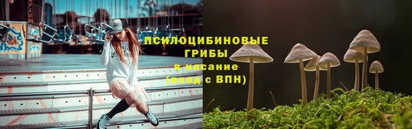 прущие грибы Баксан