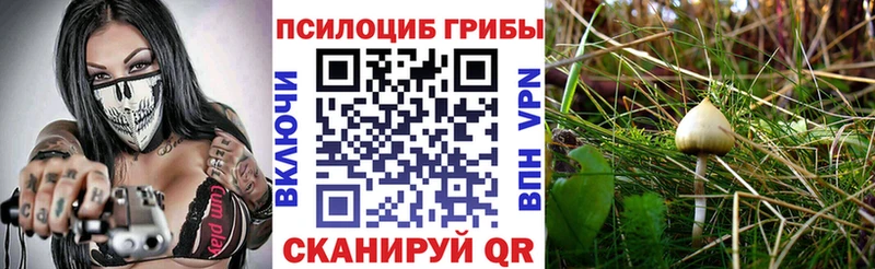 Галлюциногенные грибы мицелий  даркнет официальный сайт  Гудермес 